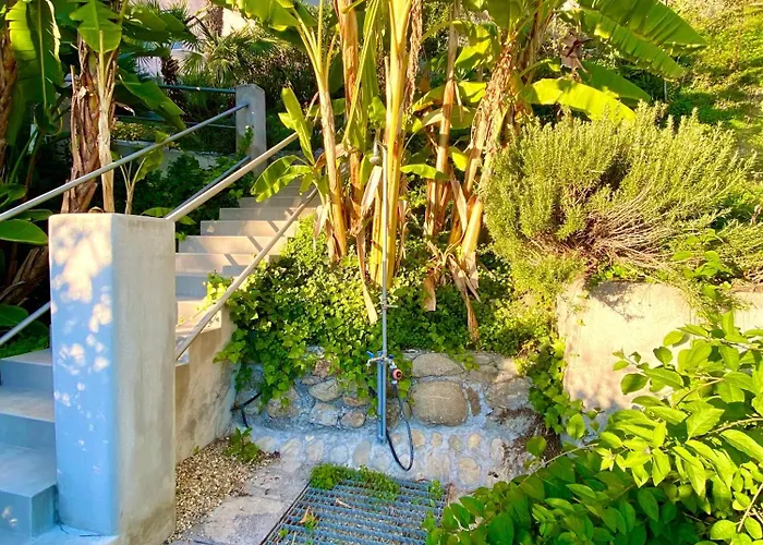 Botanic Garden Calandre *