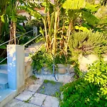 Botanic Garden Calandre *