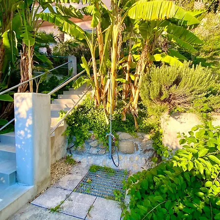 Botanic Garden Calandre *