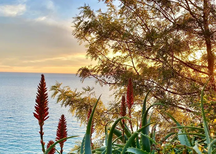 Botanic Garden Calandre Apartament