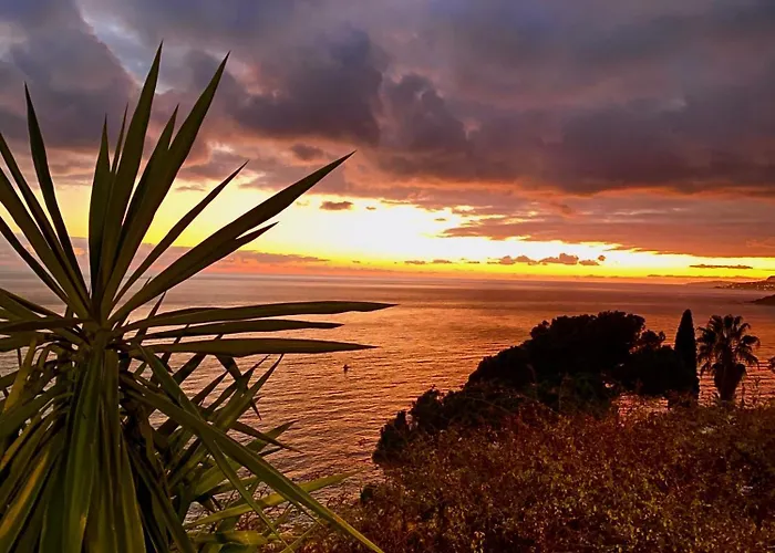 Botanic Garden Calandre *