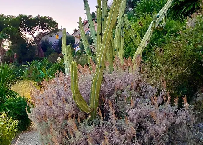 Apartament Botanic Garden Calandre *