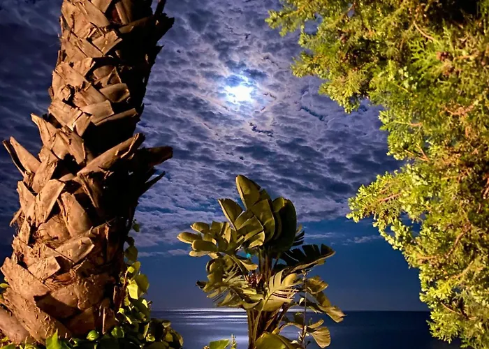 Botanic Garden Calandre